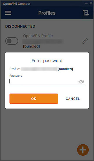 Screenshot of the OpenVPN Connect, Enter Password